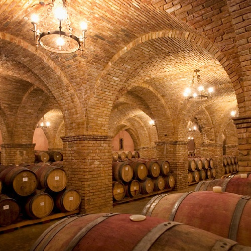 Napa Valley wine tour cellar